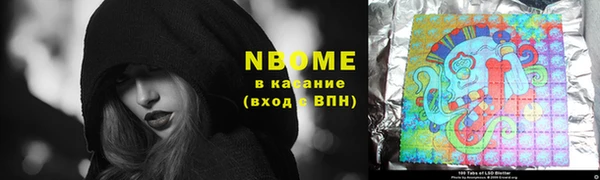 индика Нязепетровск