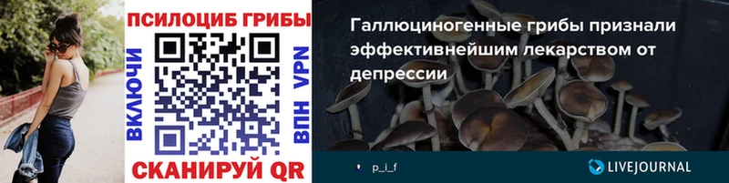 магазин продажи наркотиков  Городовиковск  Псилоцибиновые грибы мухоморы 